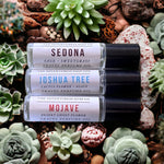 Sedona, Joshua Tree, Mojave Perfume Oils sitting on top of succulent