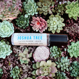 Joshua Tree Travel Perfume Oil laying in succulent plants