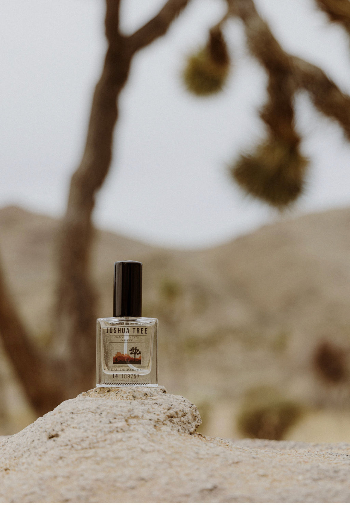 Joshua Tree Eau De Parfum - Desert Inspired Perfume – The