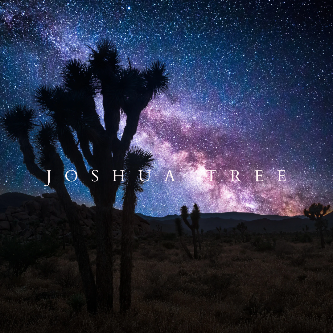 Joshua Tree Car Diffuser