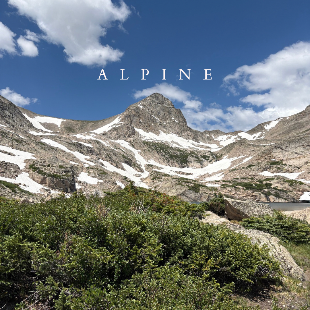 Alpine Car Diffuser