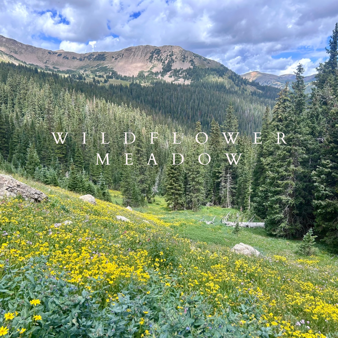 Wildflower Meadow Car Diffuser