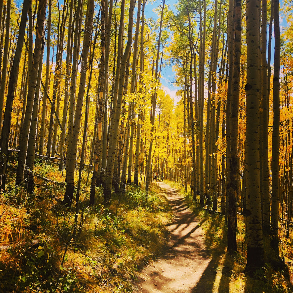 Five Hikes to Do in Fall in Colorado