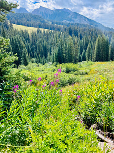 Five Must-Hike Trails in Crested Butte, CO