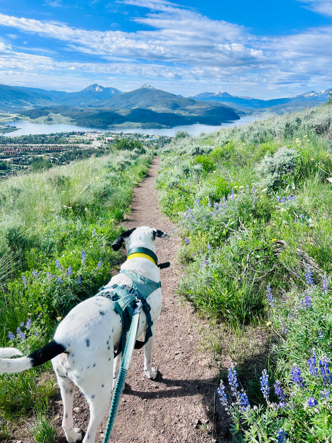 Five Must-Do Hikes Near Silverthorne, Colorado