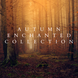 Autumn Enchanted Perfume Sample Pack