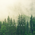 Conifer Perfume Oil