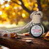 Apple Cider Donuts Car Diffuser