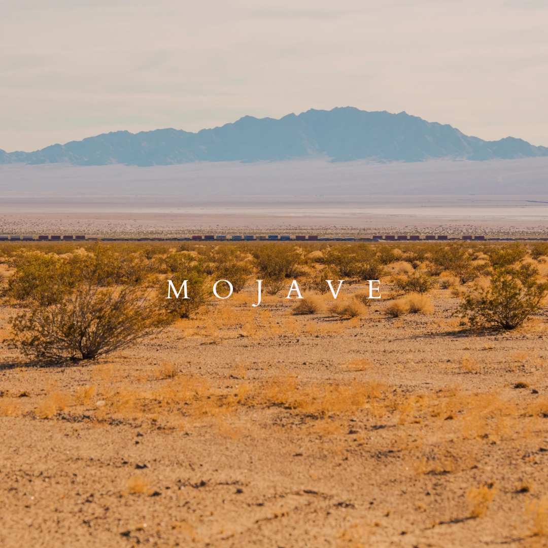 Mojave Car Diffuser